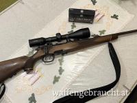 Steyr Mannlicher Mod M