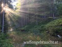 Ausgerecht Kärnten - nähe Feldkirchen