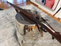 Werndl Steyr OEWG 11mm 1873/77 Österreich 