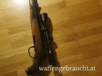 Steyr 308