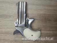 Röhm Derringer .38 Special